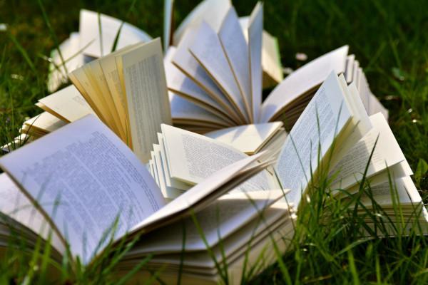 Books on the grass